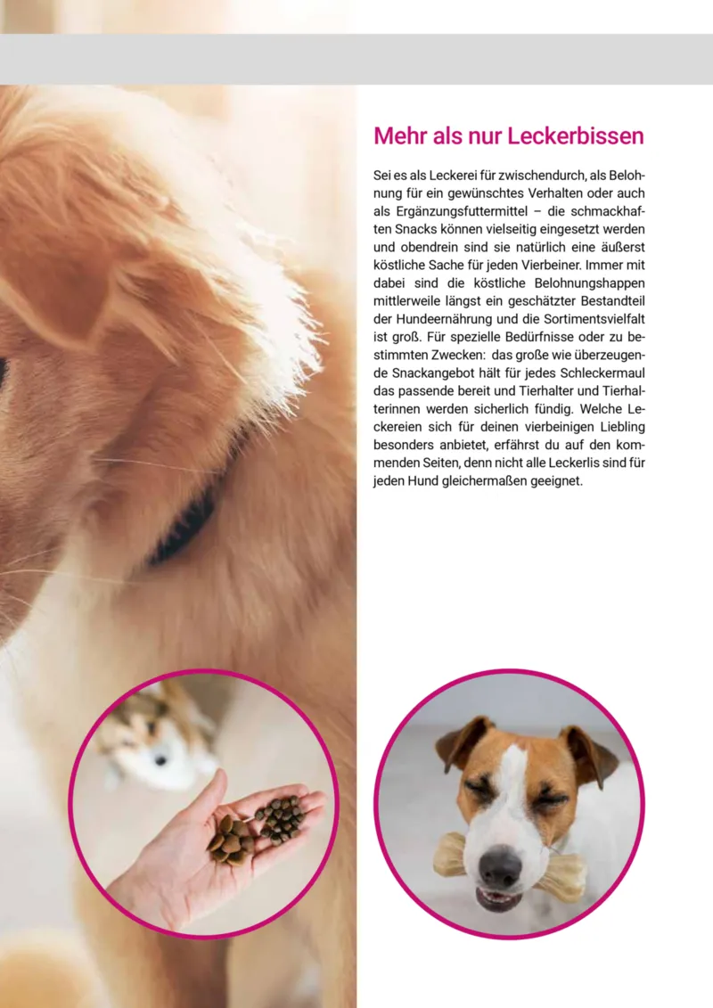 Zookauf Prospekt vom 20.05.2025, Seite 71