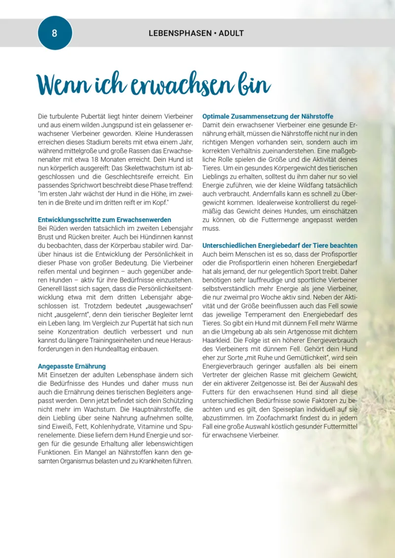 Zookauf Prospekt vom 20.05.2025, Seite 8