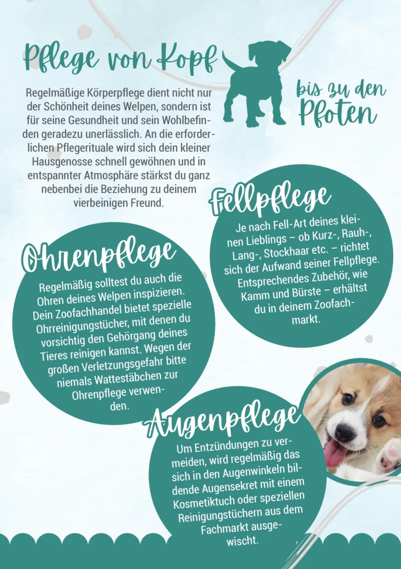 Zookauf Prospekt vom 05.06.2025, Seite 10