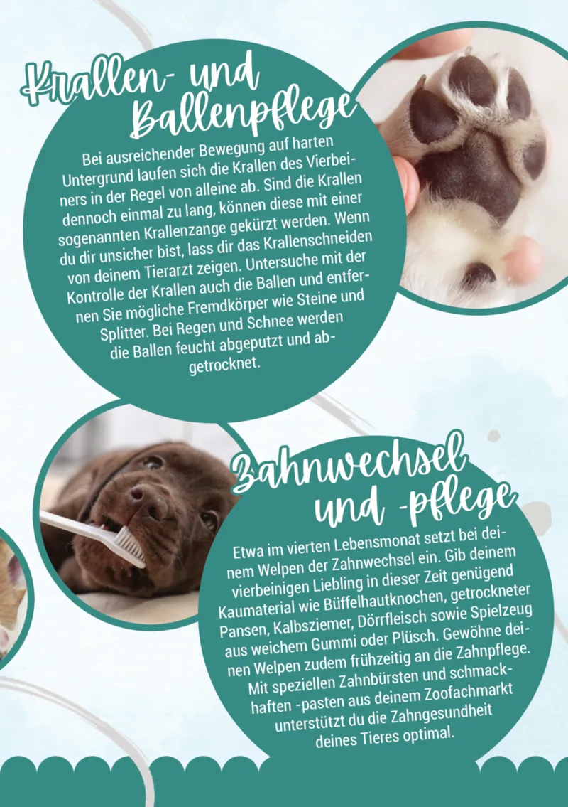 Zookauf Prospekt vom 05.06.2025, Seite 11