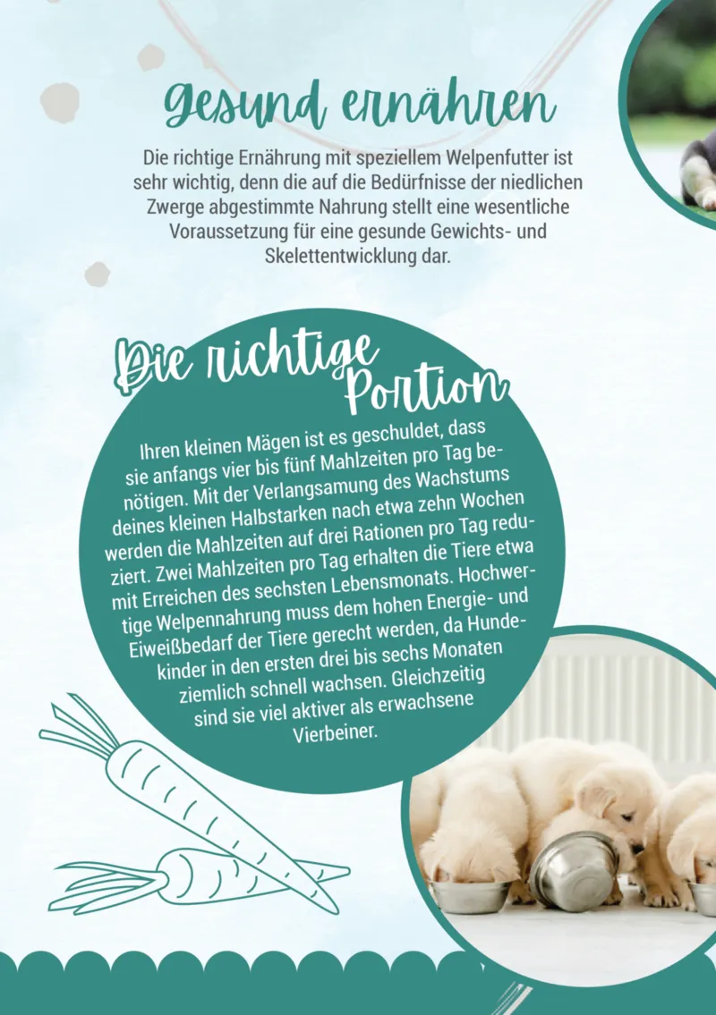 Zookauf Prospekt vom 05.06.2025, Seite 12