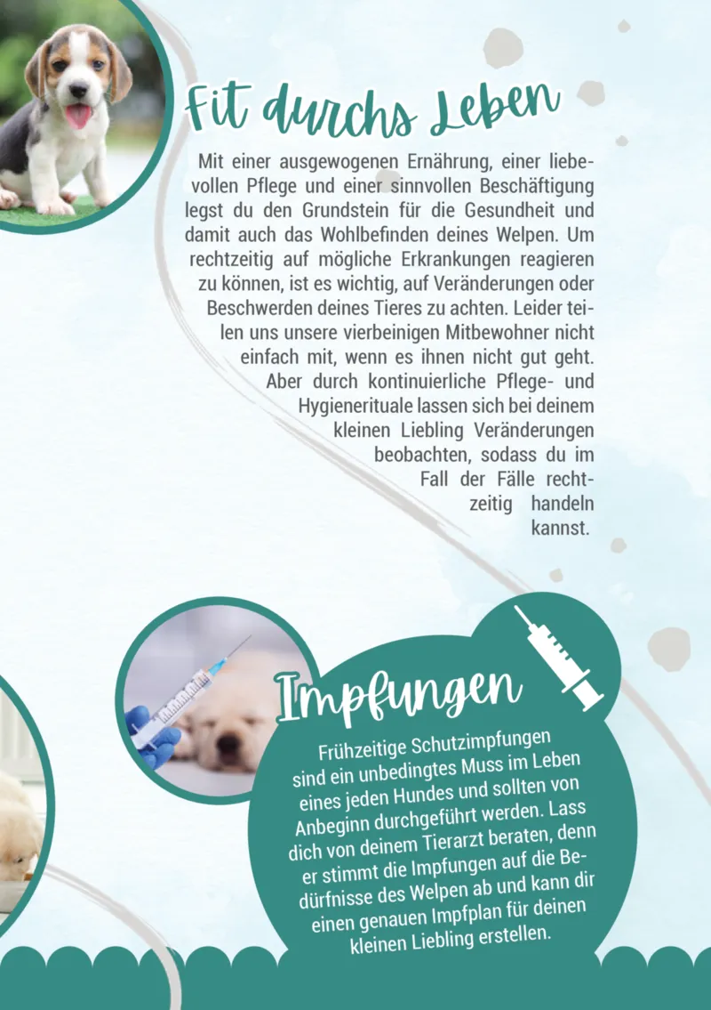 Zookauf Prospekt vom 05.06.2025, Seite 13