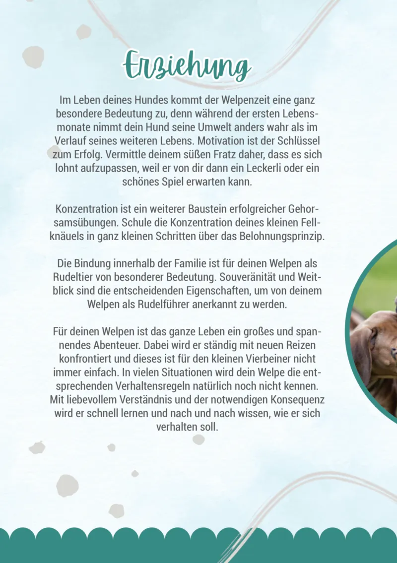 Zookauf Prospekt vom 05.06.2025, Seite 14