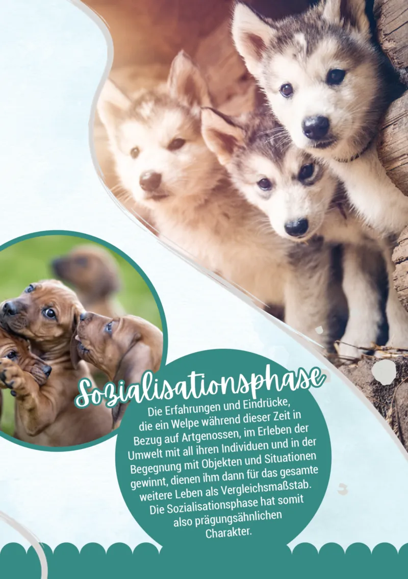 Zookauf Prospekt vom 05.06.2025, Seite 15