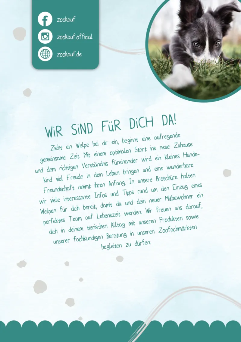 Zookauf Prospekt vom 05.06.2025, Seite 2