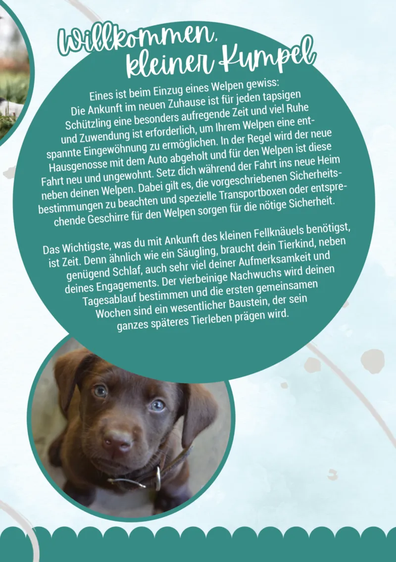 Zookauf Prospekt vom 05.06.2025, Seite 3