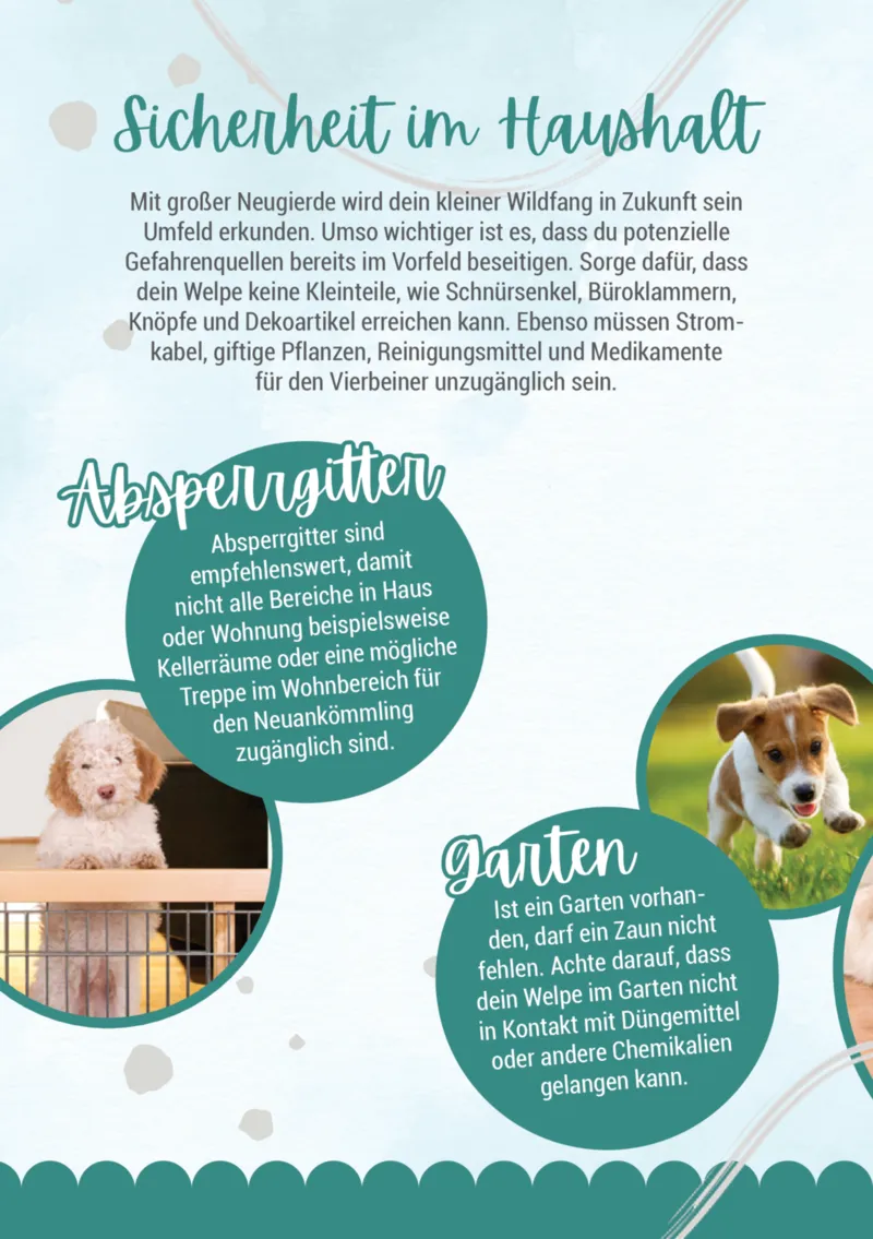 Zookauf Prospekt vom 05.06.2025, Seite 4