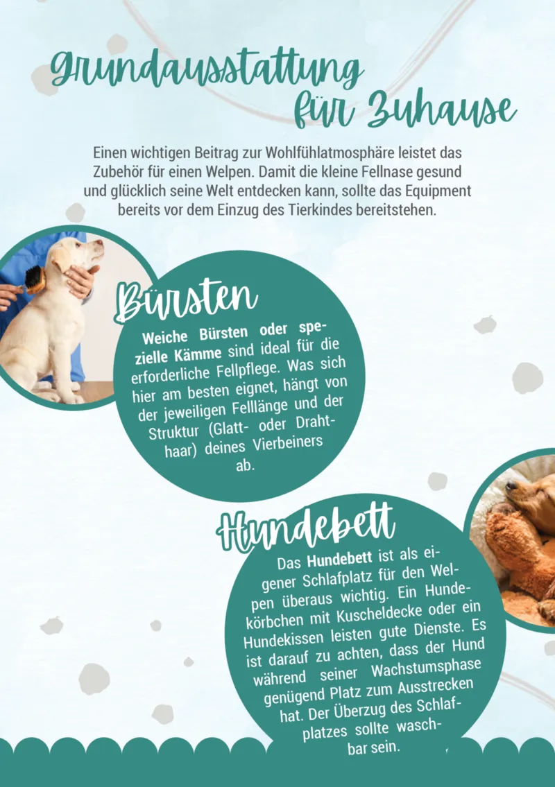 Zookauf Prospekt vom 05.06.2025, Seite 6