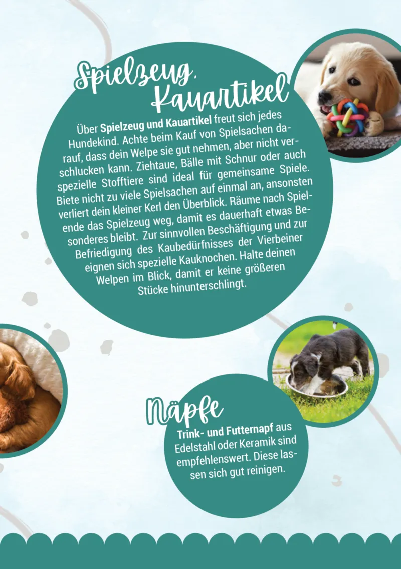 Zookauf Prospekt vom 05.06.2025, Seite 7