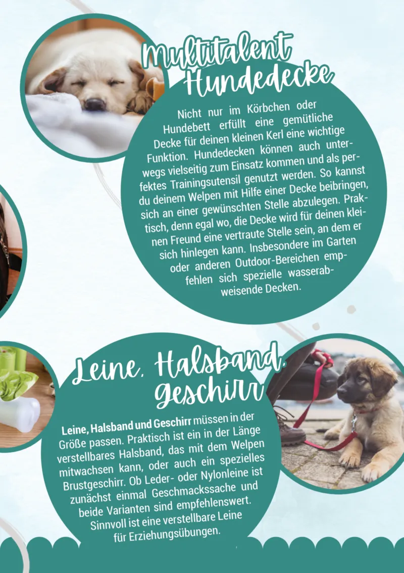 Zookauf Prospekt vom 05.06.2025, Seite 9