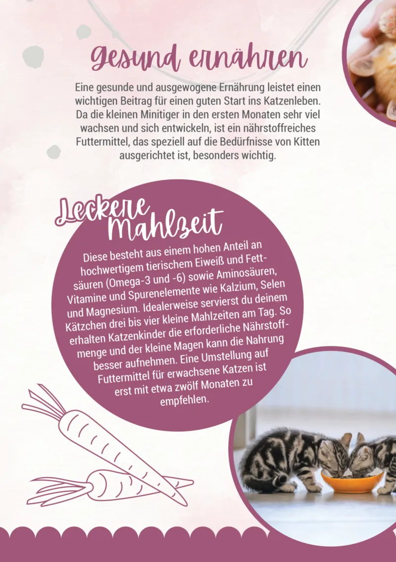 Zookauf Prospekt vom 05.06.2025, Seite 10