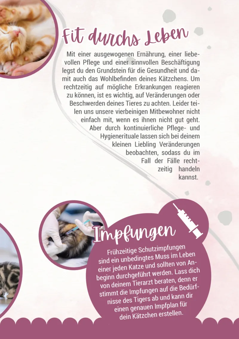 Zookauf Prospekt vom 05.06.2025, Seite 11