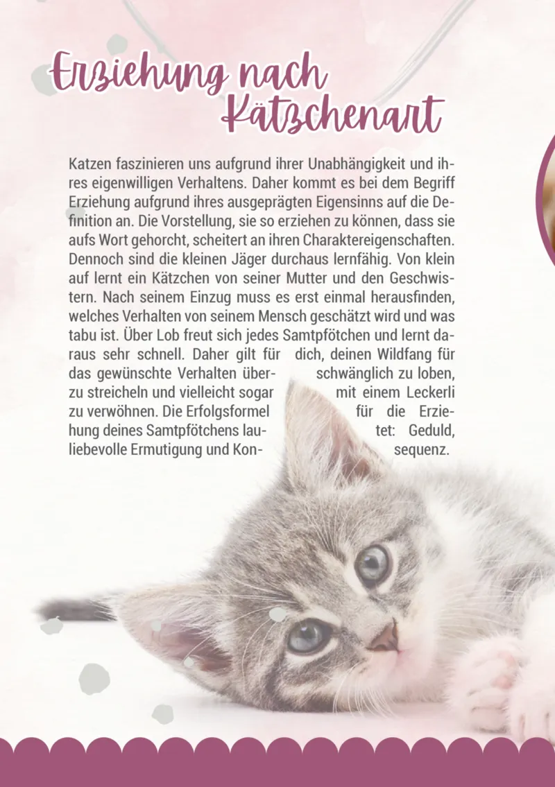 Zookauf Prospekt vom 05.06.2025, Seite 12