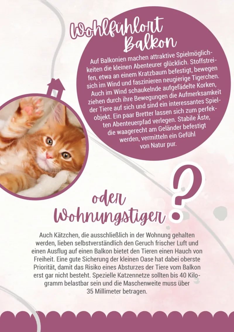 Zookauf Prospekt vom 05.06.2025, Seite 15