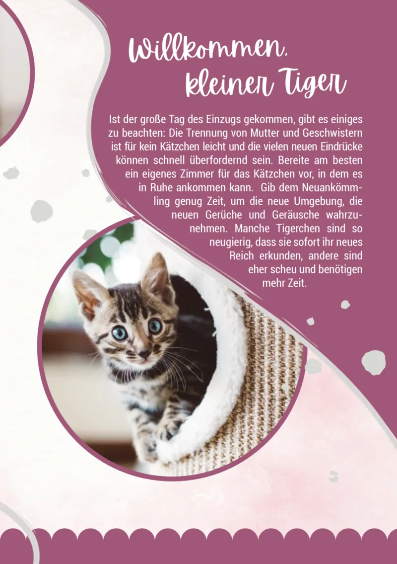 Zookauf Prospekt vom 05.06.2025, Seite 3