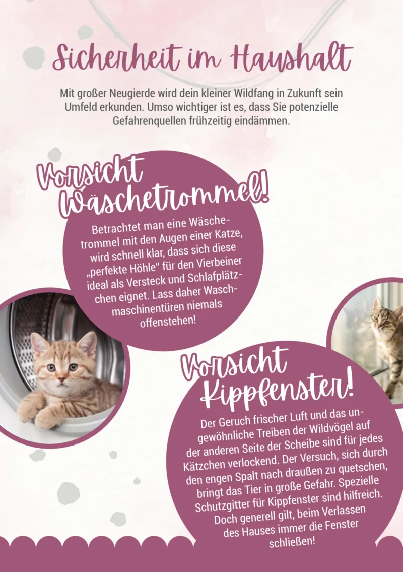 Zookauf Prospekt vom 05.06.2025, Seite 4