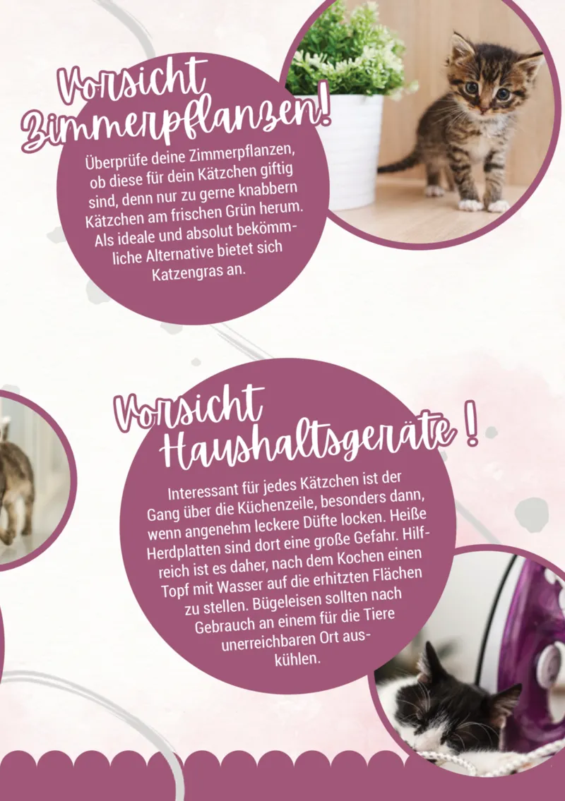 Zookauf Prospekt vom 05.06.2025, Seite 5