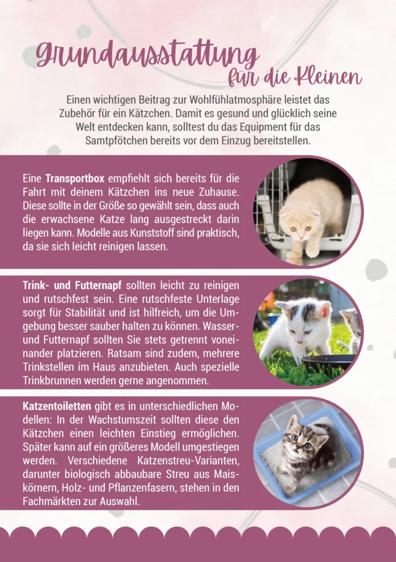 Zookauf Prospekt vom 05.06.2025, Seite 6