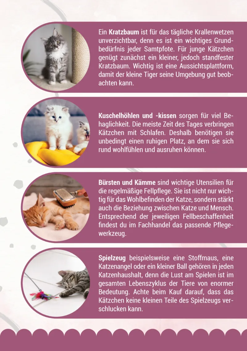 Zookauf Prospekt vom 05.06.2025, Seite 7