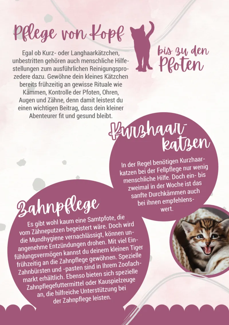 Zookauf Prospekt vom 05.06.2025, Seite 8