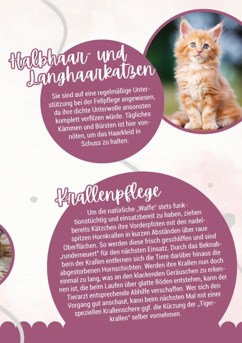 Zookauf Prospekt vom 05.06.2025, Seite 9