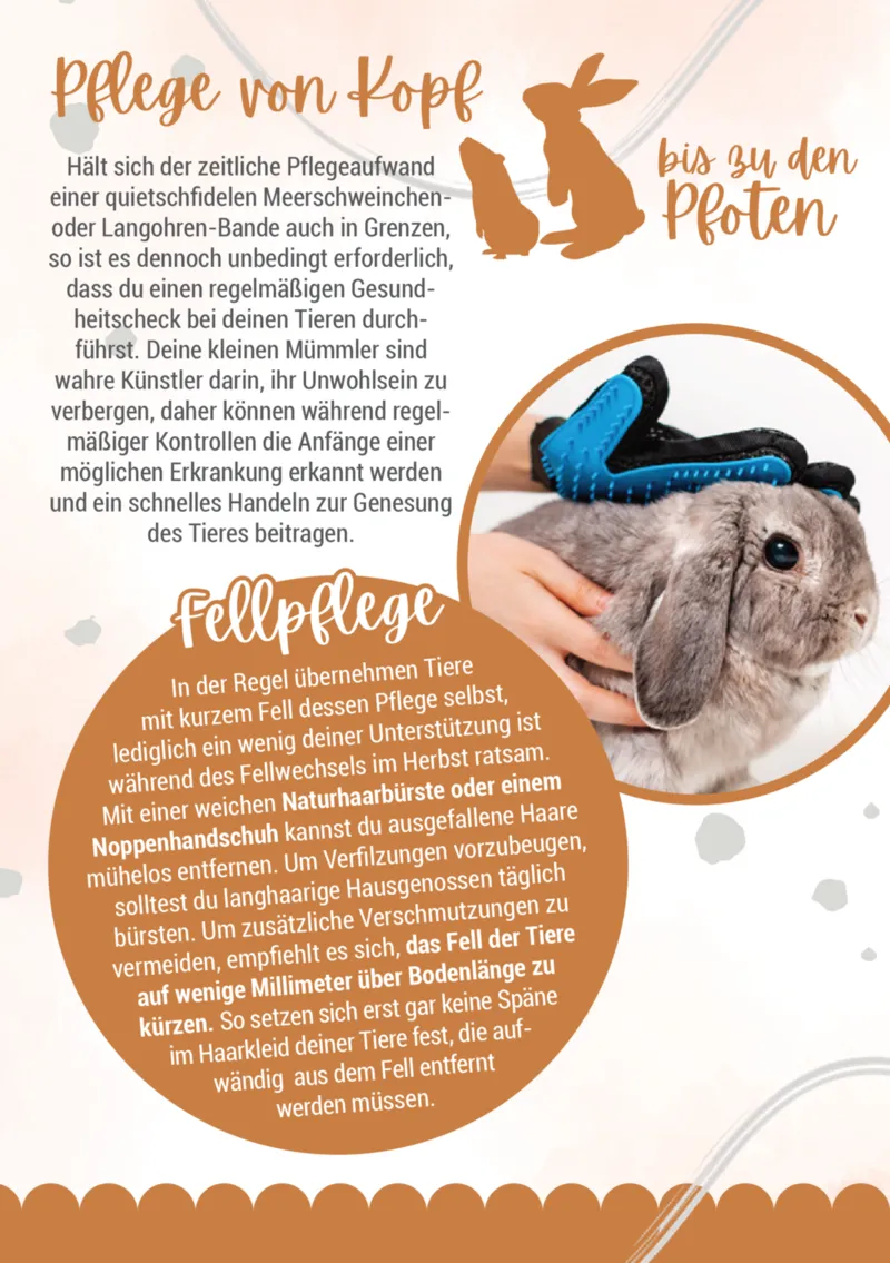 Zookauf Prospekt vom 05.06.2025, Seite 10