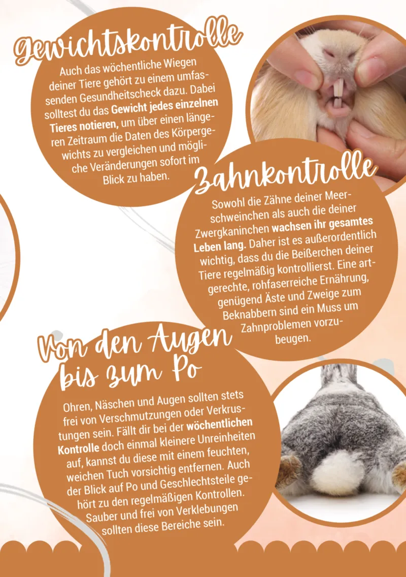 Zookauf Prospekt vom 05.06.2025, Seite 11