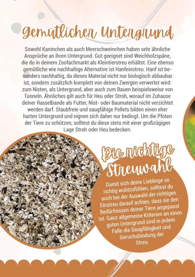 Zookauf Prospekt vom 05.06.2025, Seite 12