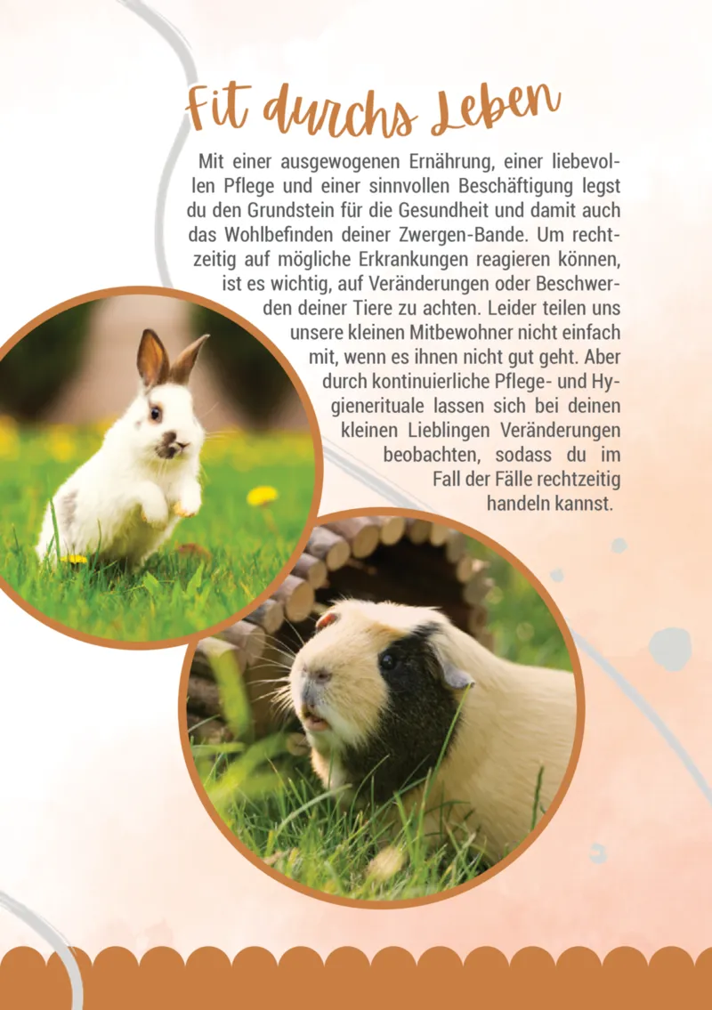 Zookauf Prospekt vom 05.06.2025, Seite 13