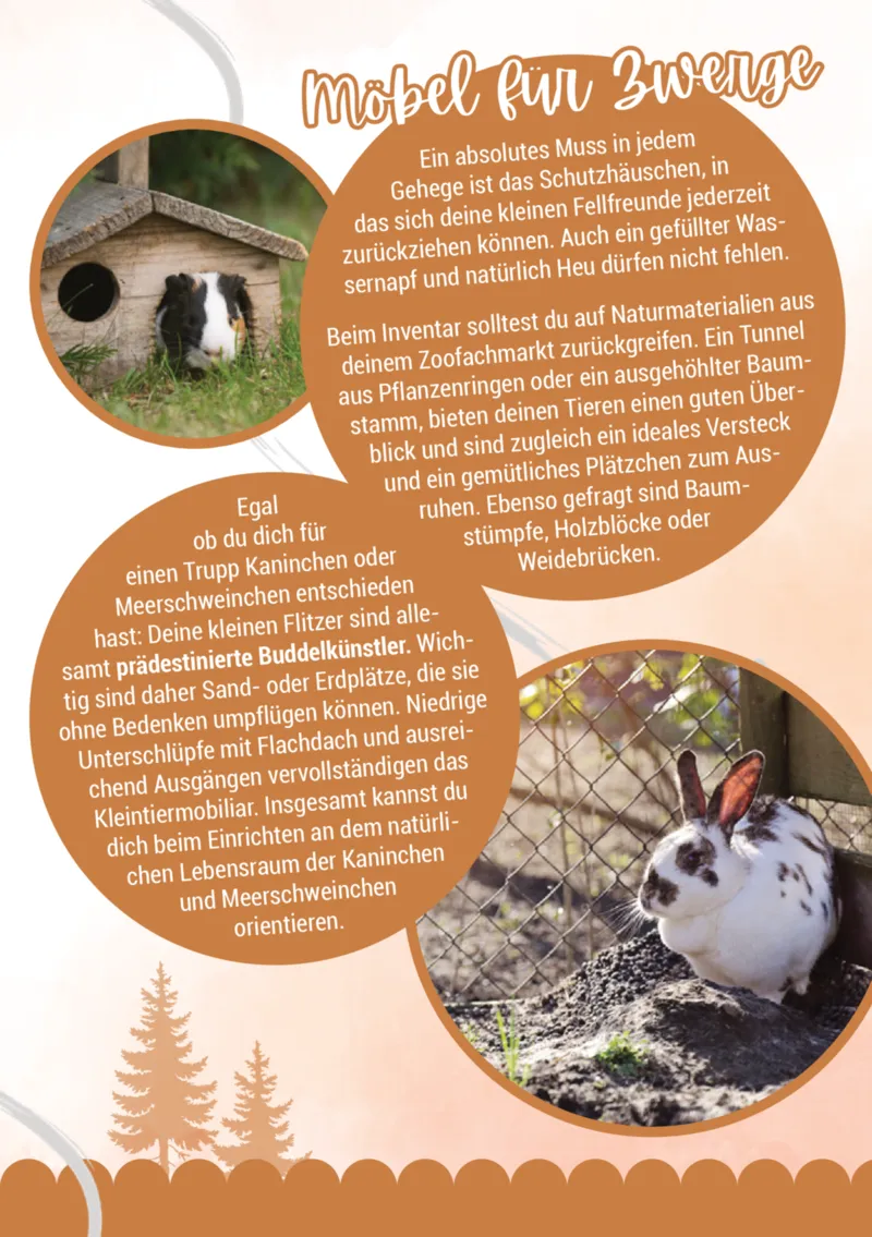 Zookauf Prospekt vom 05.06.2025, Seite 15