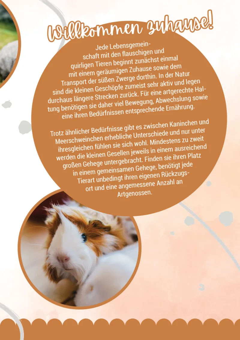 Zookauf Prospekt vom 05.06.2025, Seite 3