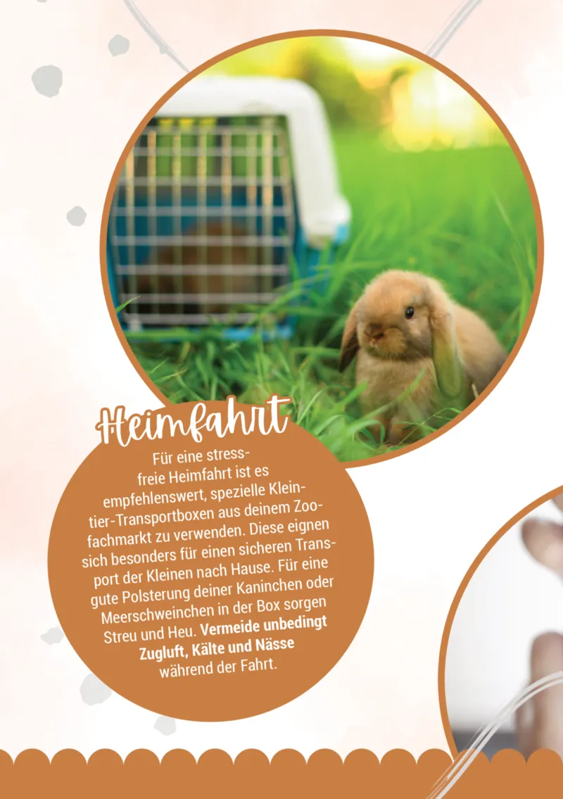 Zookauf Prospekt vom 05.06.2025, Seite 4