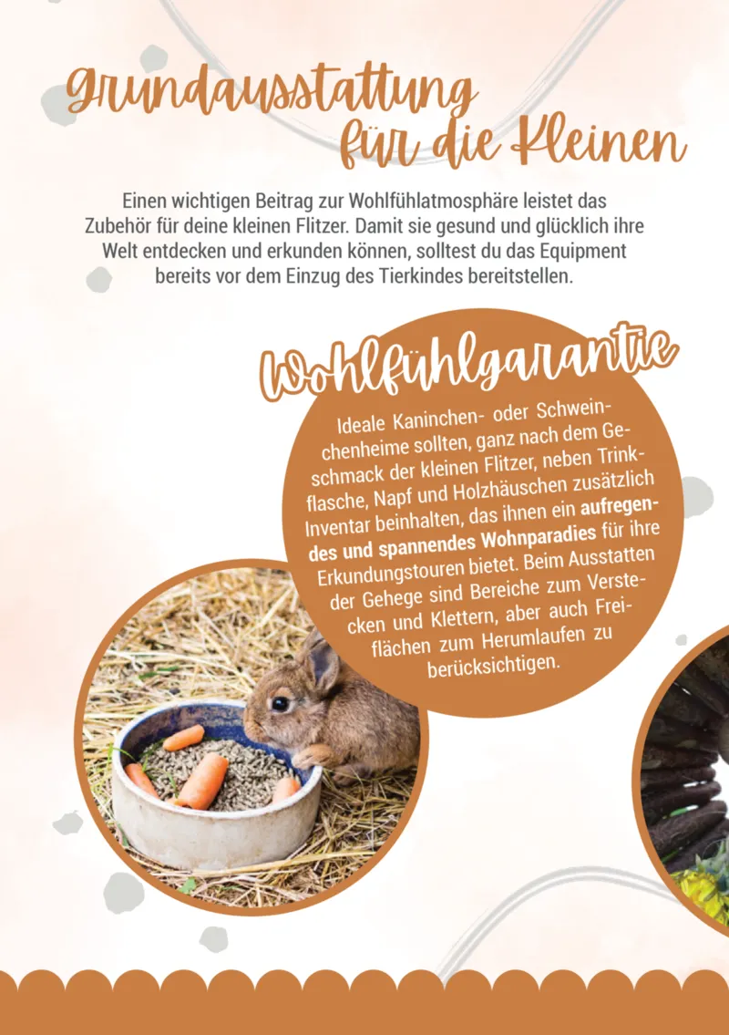 Zookauf Prospekt vom 05.06.2025, Seite 6