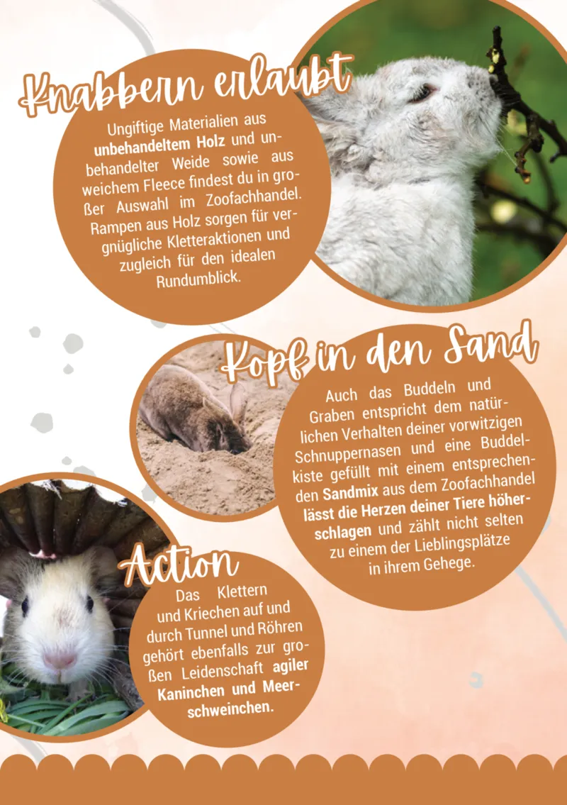 Zookauf Prospekt vom 05.06.2025, Seite 7