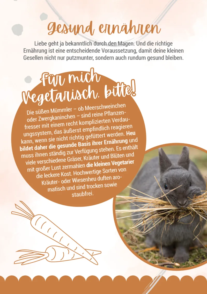 Zookauf Prospekt vom 05.06.2025, Seite 8