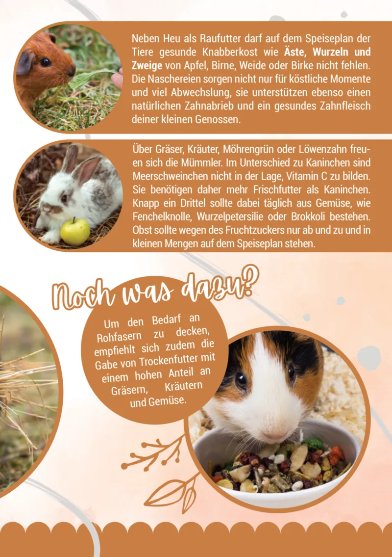 Zookauf Prospekt vom 05.06.2025, Seite 9