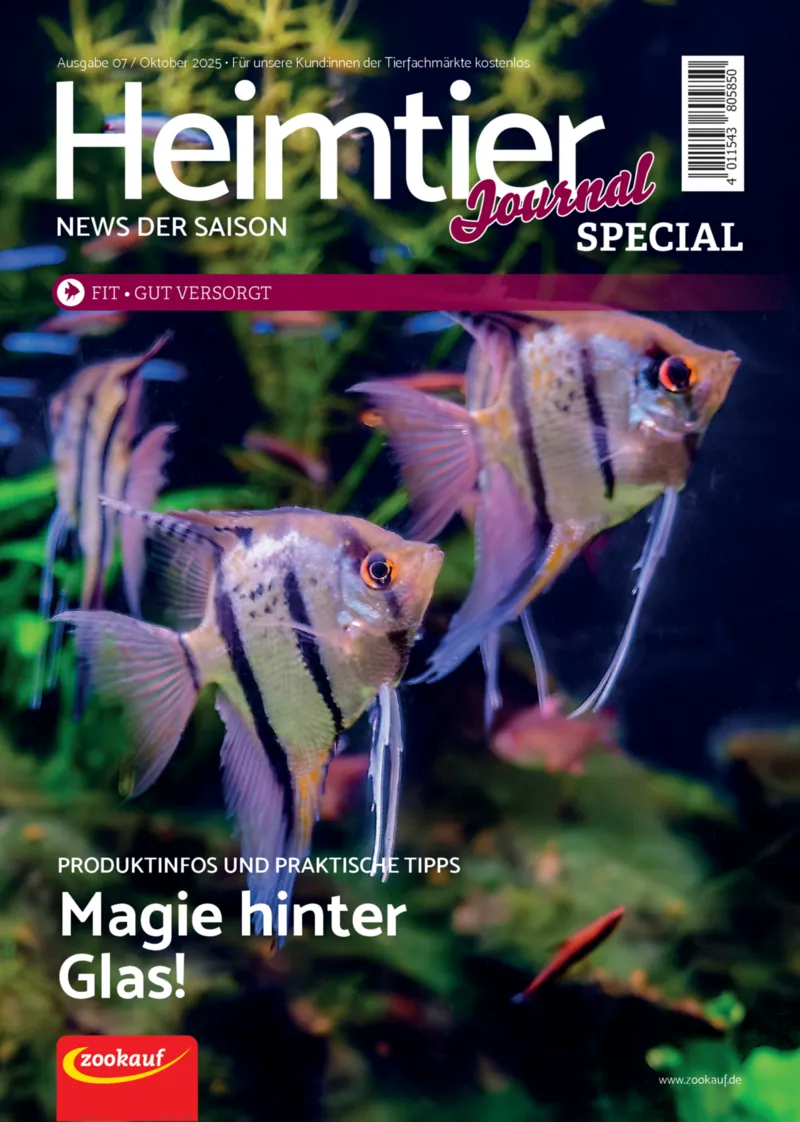 Zookauf Prospekt vom 01.09.2025, Seite 1