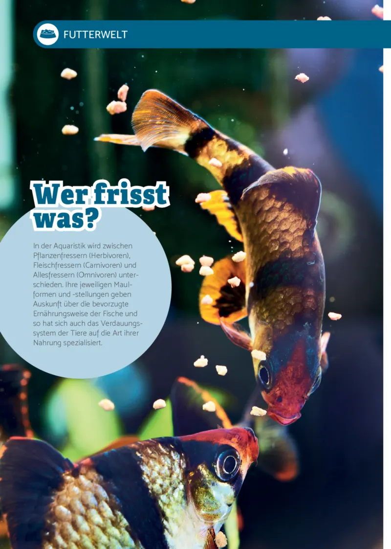 Zookauf Prospekt vom 01.09.2025, Seite 10