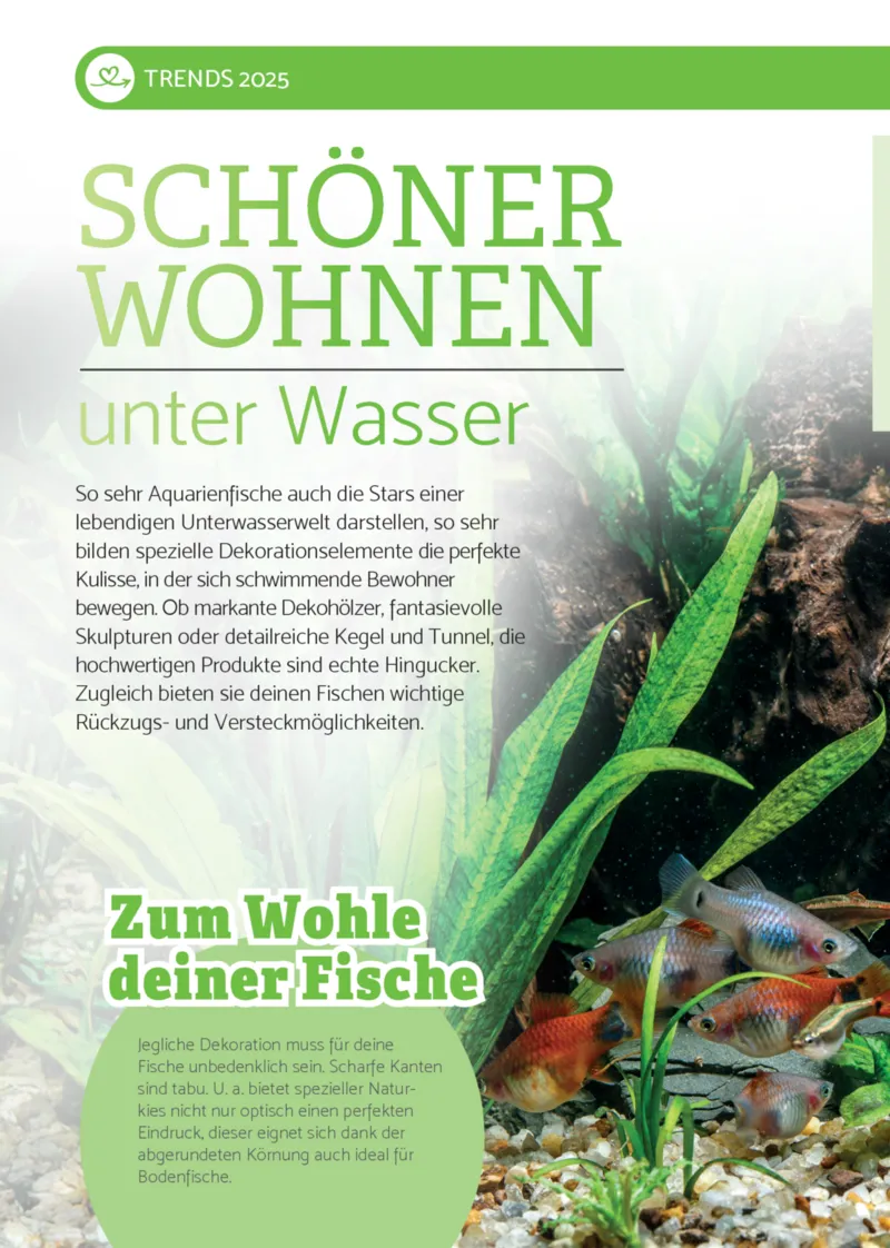 Zookauf Prospekt vom 01.09.2025, Seite 12