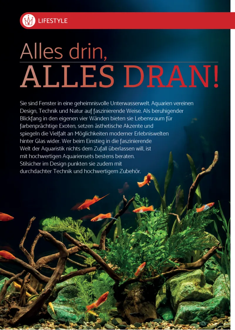 Zookauf Prospekt vom 01.09.2025, Seite 4