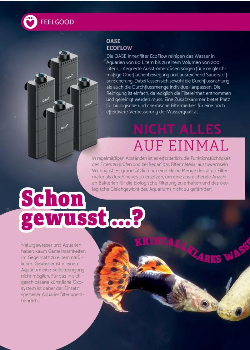 Zookauf Prospekt vom 01.09.2025, Seite 6