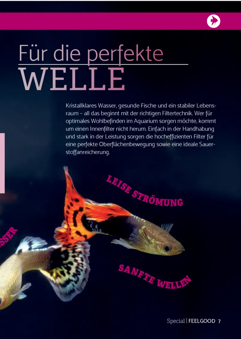 Zookauf Prospekt vom 01.09.2025, Seite 7