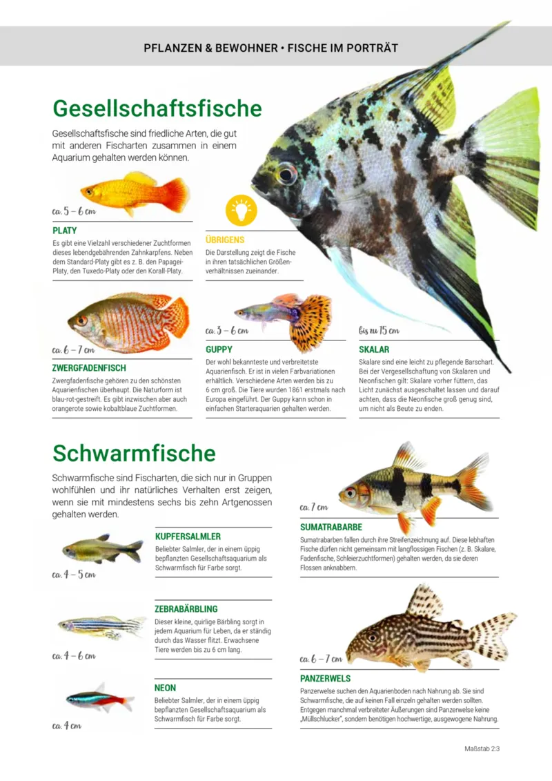 Zookauf Prospekt vom 01.10.2025, Seite 29