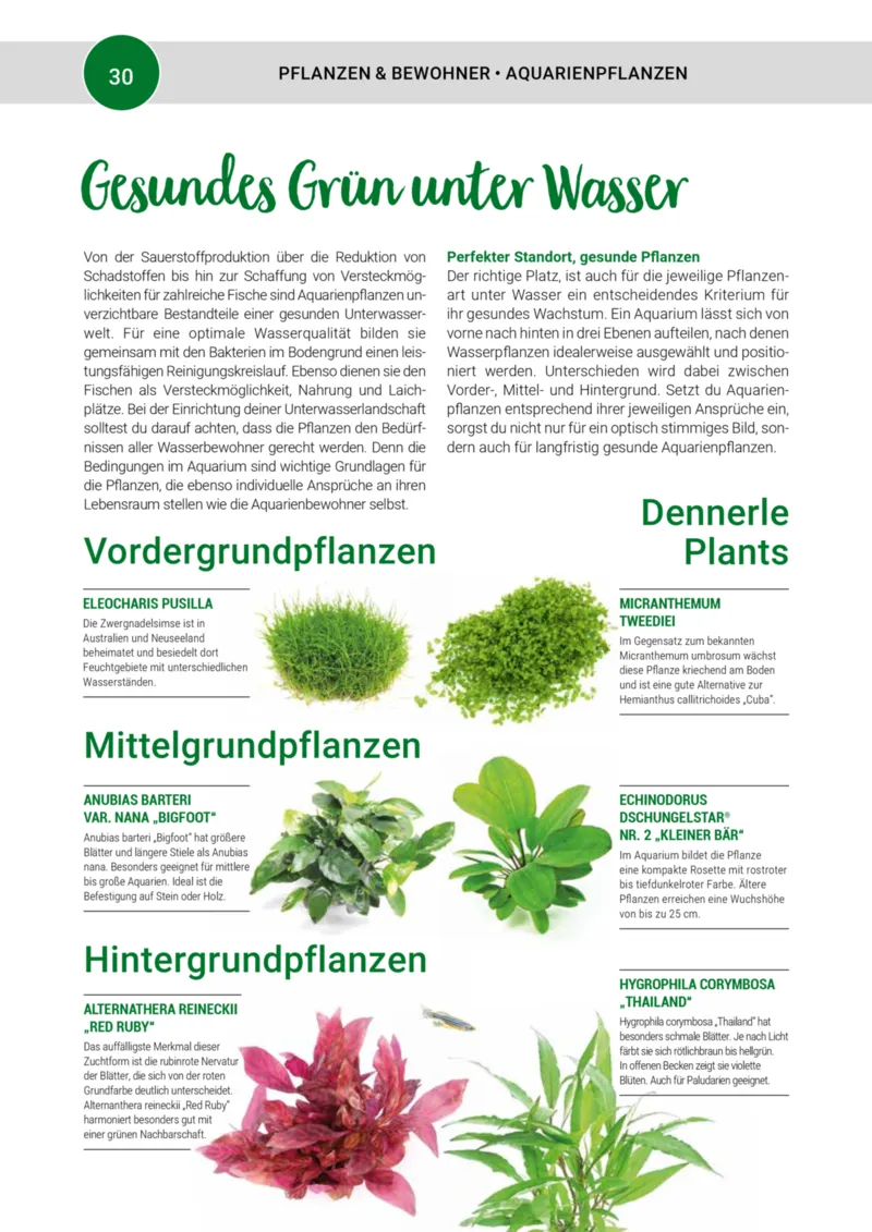 Zookauf Prospekt vom 01.10.2025, Seite 30