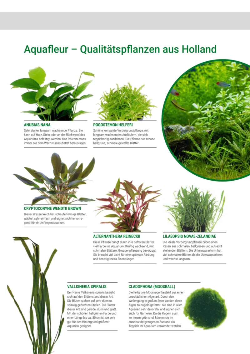 Zookauf Prospekt vom 01.10.2025, Seite 31