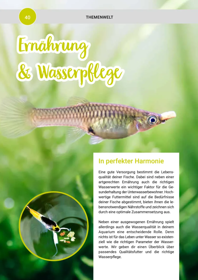 Zookauf Prospekt vom 01.10.2025, Seite 40