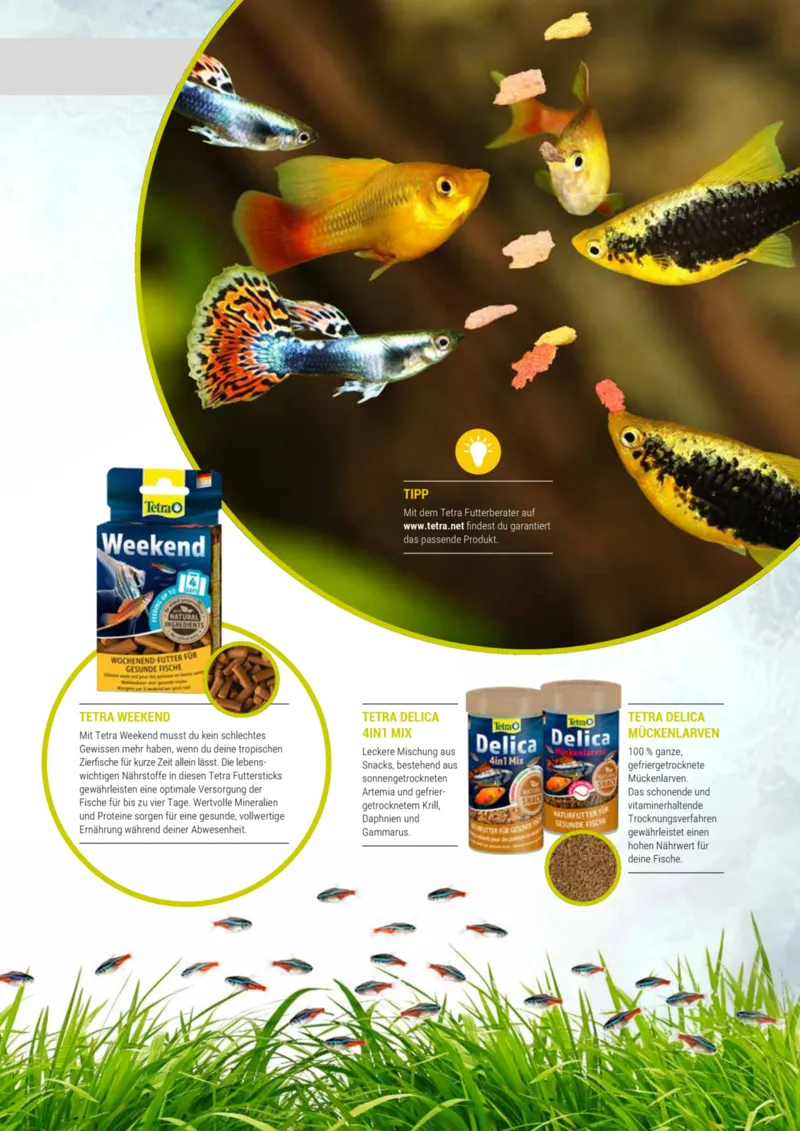 Zookauf Prospekt vom 01.10.2025, Seite 45