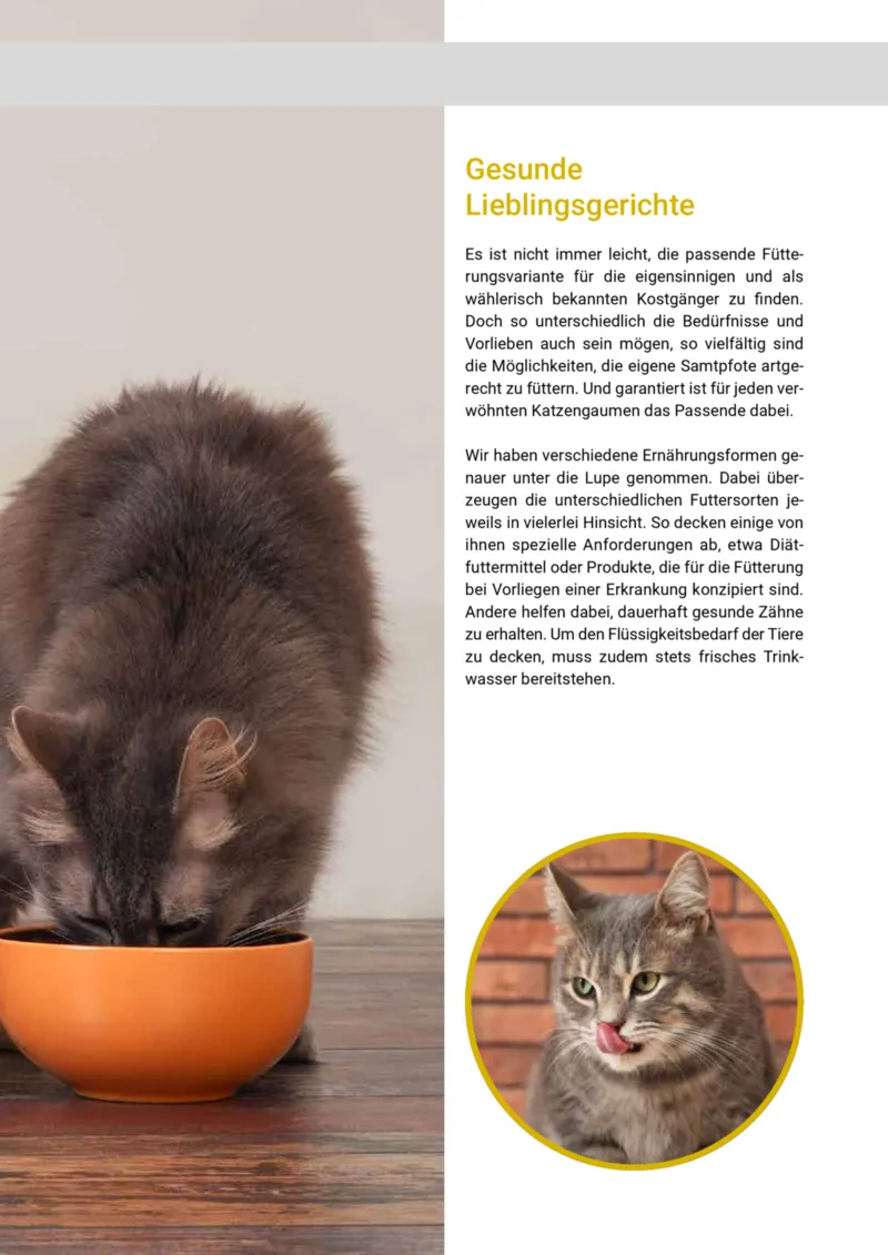 Zookauf Prospekt vom 01.10.2025, Seite 13