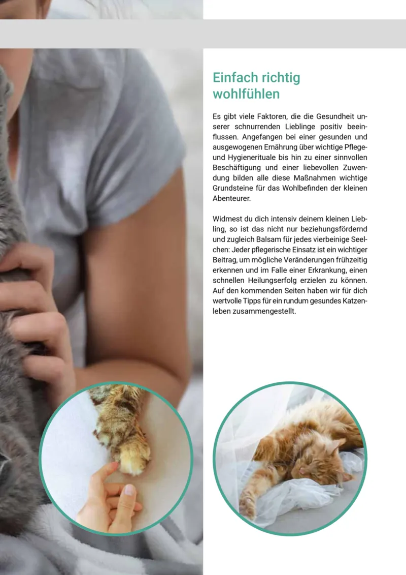 Zookauf Prospekt vom 01.10.2025, Seite 29