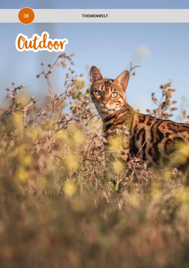 Zookauf Prospekt vom 01.10.2025, Seite 38